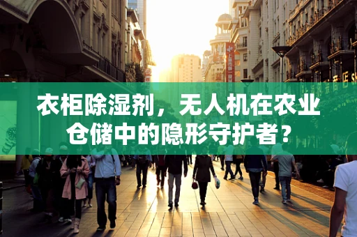 衣柜除湿剂，无人机在农业仓储中的隐形守护者？