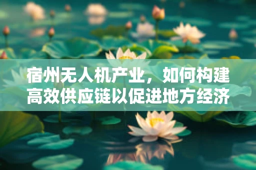宿州无人机产业，如何构建高效供应链以促进地方经济发展？