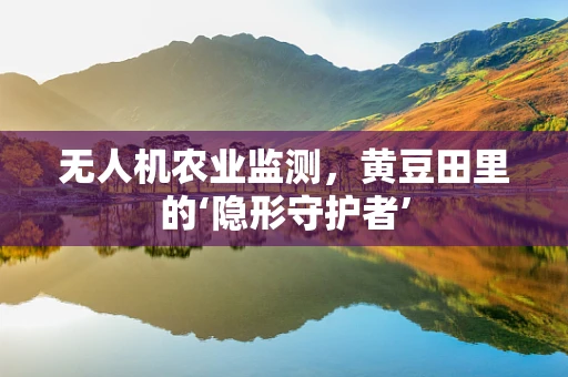 无人机农业监测，黄豆田里的‘隐形守护者’