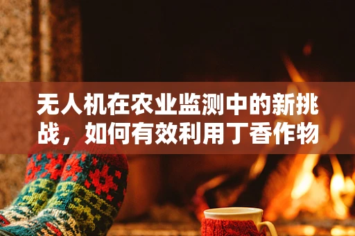无人机在农业监测中的新挑战，如何有效利用丁香作物进行精准监测？