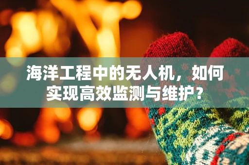 海洋工程中的无人机，如何实现高效监测与维护？