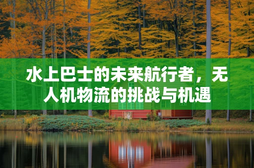 水上巴士的未来航行者，无人机物流的挑战与机遇