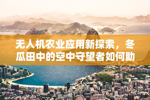 无人机农业应用新探索，冬瓜田中的空中守望者如何助力精准种植？
