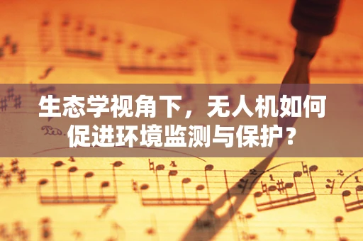 生态学视角下，无人机如何促进环境监测与保护？