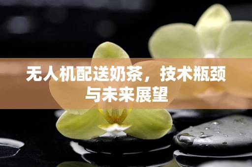 无人机配送奶茶，技术瓶颈与未来展望