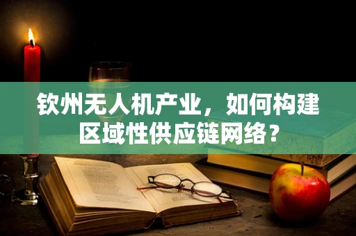 钦州无人机产业，如何构建区域性供应链网络？