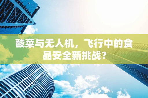 酸菜与无人机，飞行中的食品安全新挑战？