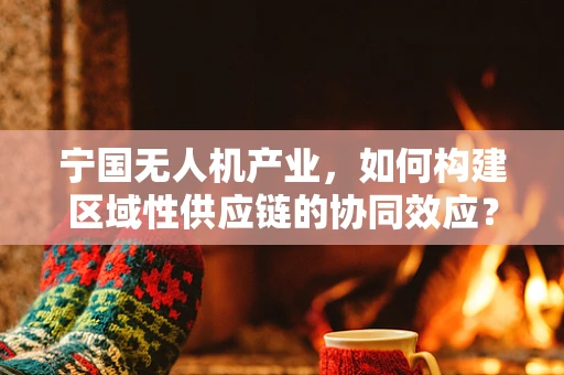 宁国无人机产业，如何构建区域性供应链的协同效应？