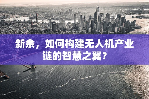 新余，如何构建无人机产业链的智慧之翼？