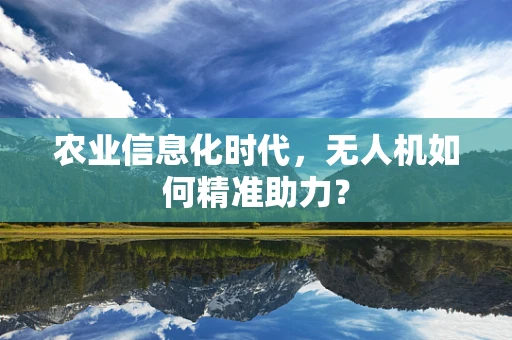 农业信息化时代，无人机如何精准助力？