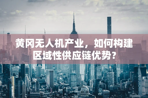 黄冈无人机产业，如何构建区域性供应链优势？