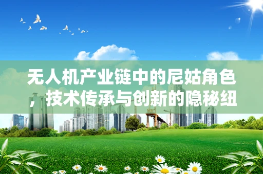 无人机产业链中的尼姑角色，技术传承与创新的隐秘纽带？
