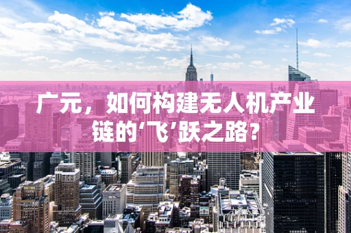 广元，如何构建无人机产业链的‘飞’跃之路？