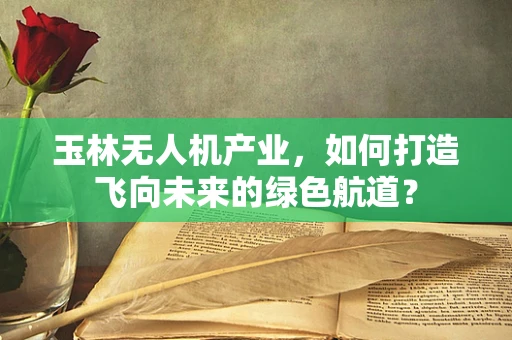 玉林无人机产业，如何打造飞向未来的绿色航道？