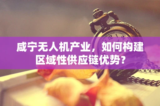 咸宁无人机产业，如何构建区域性供应链优势？