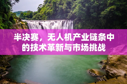 半决赛，无人机产业链条中的技术革新与市场挑战