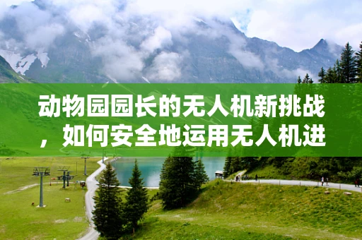 动物园园长的无人机新挑战，如何安全地运用无人机进行动物监测？