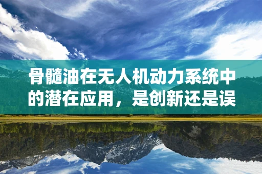 骨髓油在无人机动力系统中的潜在应用，是创新还是误区？