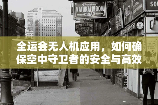 全运会无人机应用，如何确保空中守卫者的安全与高效？