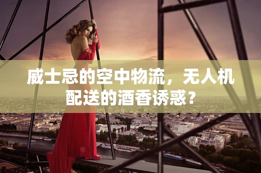 威士忌的空中物流，无人机配送的酒香诱惑？