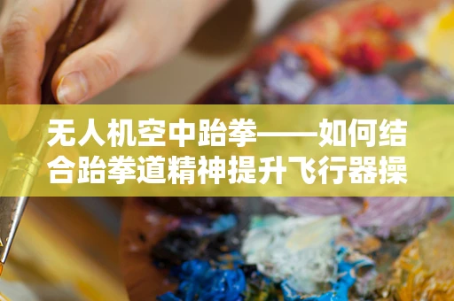 无人机空中跆拳——如何结合跆拳道精神提升飞行器操控的精准与效率？
