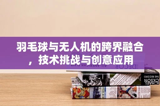 羽毛球与无人机的跨界融合，技术挑战与创意应用