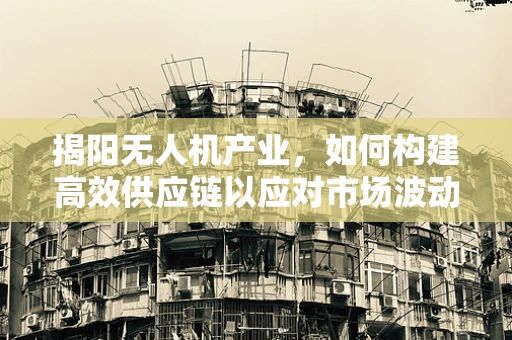 揭阳无人机产业，如何构建高效供应链以应对市场波动？