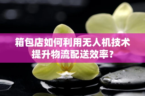 箱包店如何利用无人机技术提升物流配送效率？