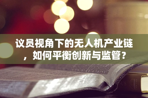 议员视角下的无人机产业链，如何平衡创新与监管？