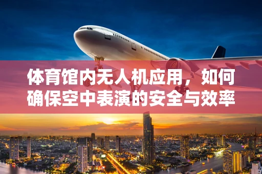 体育馆内无人机应用，如何确保空中表演的安全与效率？