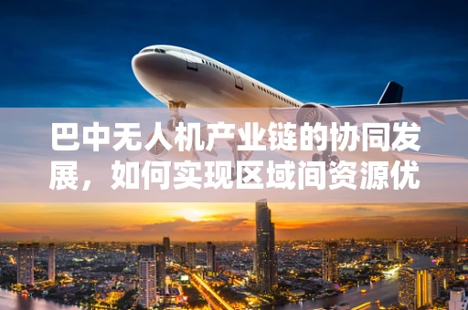 巴中无人机产业链的协同发展，如何实现区域间资源优化配置？