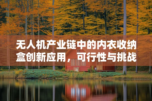 无人机产业链中的内衣收纳盒创新应用，可行性与挑战？
