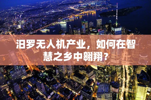 汨罗无人机产业，如何在智慧之乡中翱翔？