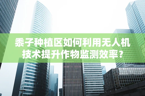 黍子种植区如何利用无人机技术提升作物监测效率？