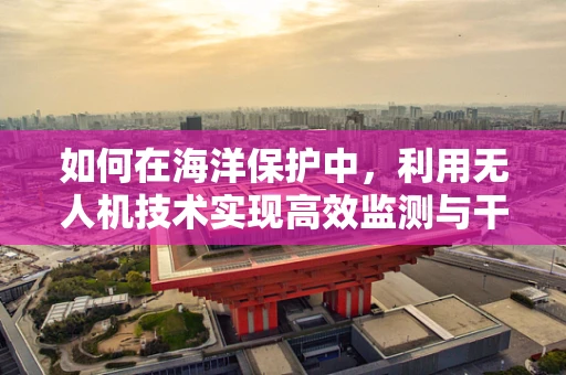 如何在海洋保护中，利用无人机技术实现高效监测与干预？