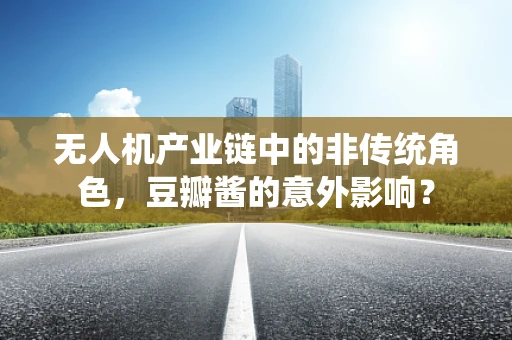 无人机产业链中的非传统角色，豆瓣酱的意外影响？