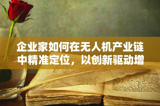 企业家如何在无人机产业链中精准定位，以创新驱动增长？