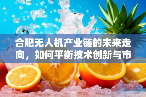 合肥无人机产业链的未来走向，如何平衡技术创新与市场应用？