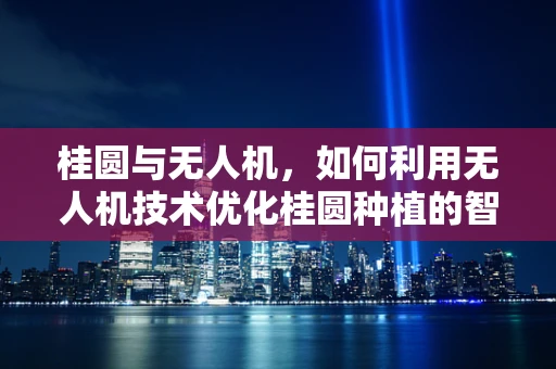 桂圆与无人机，如何利用无人机技术优化桂圆种植的智能监测？