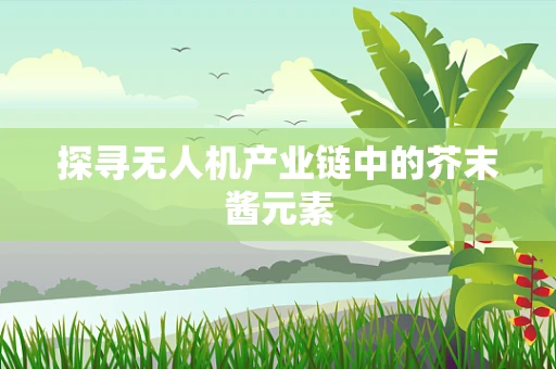 探寻无人机产业链中的芥末酱元素