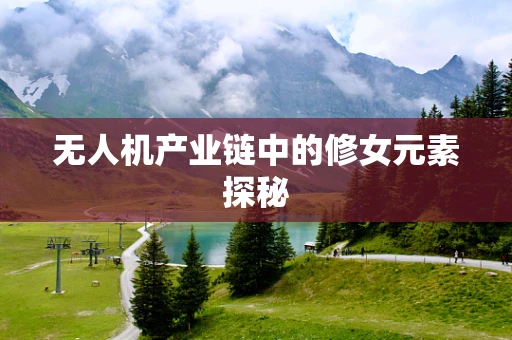 无人机产业链中的修女元素探秘