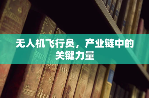 无人机飞行员，产业链中的关键力量