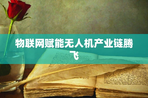 物联网赋能无人机产业链腾飞