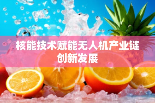 核能技术赋能无人机产业链创新发展