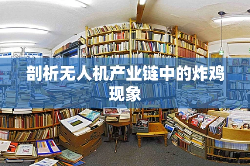 剖析无人机产业链中的炸鸡现象
