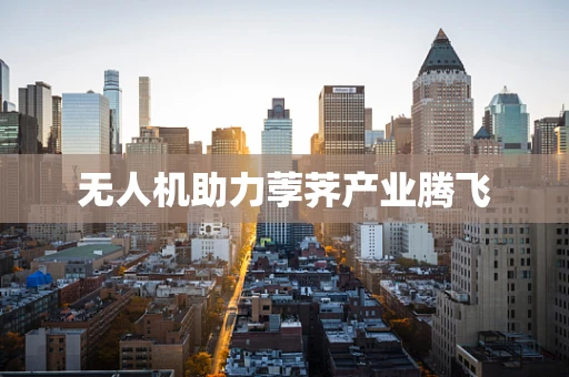 无人机助力荸荠产业腾飞