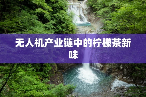 无人机产业链中的柠檬茶新味