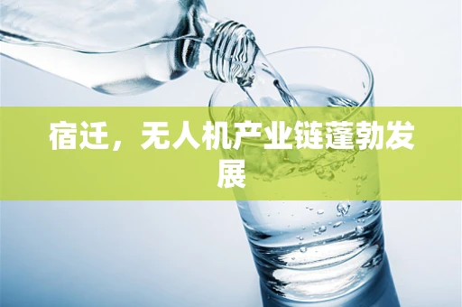 宿迁，无人机产业链蓬勃发展