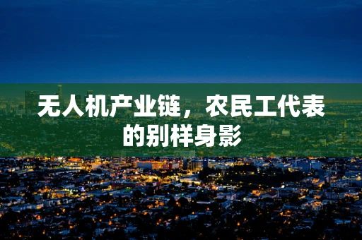 无人机产业链，农民工代表的别样身影