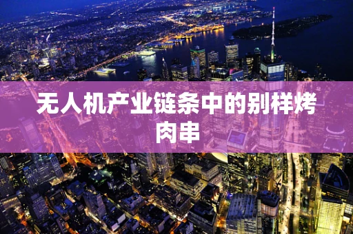 无人机产业链条中的别样烤肉串